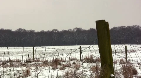 Winter time Stock Footage 7733074