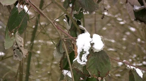 Winter time Видео 7738678