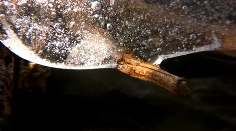 Winter time Stock-Footage 10318034