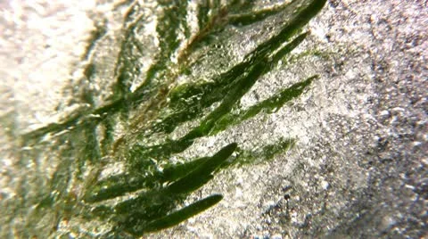 Winter time Video stock 10321618