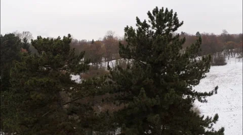 Winter time Stock Footage 35342938