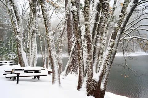 Winter time at the lake Stock Photos
