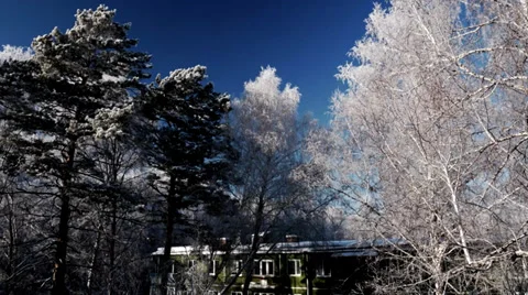 Winter time laps frost Stock Footage 39855391