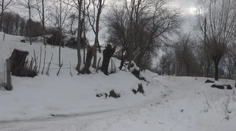 Winter time over rural road snow road countryland nature wildlife footpath tree Stock Footage 18176057