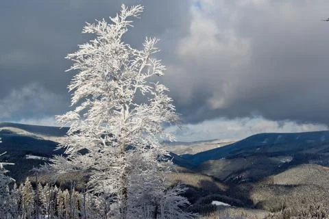 Winter time Stock Photos