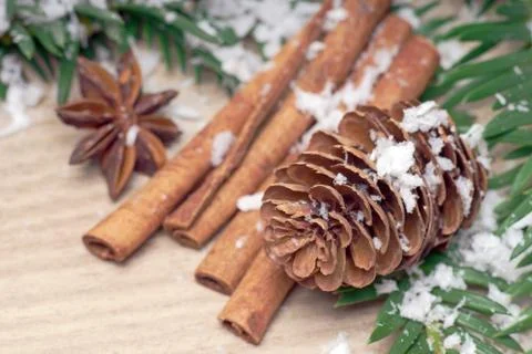 Winter time Stock Photos