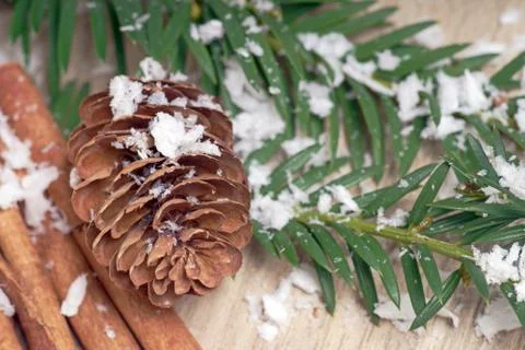 Winter time Stock Photos