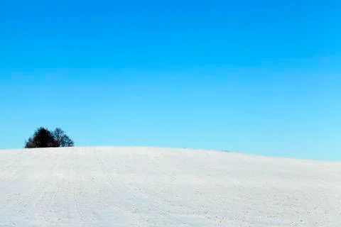 Winter time Stock Photos