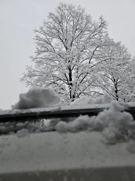 Winter time Stock Photos