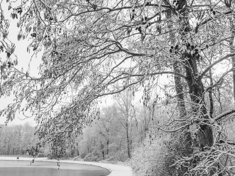 Winter time at raesfeld castle Stock Photos