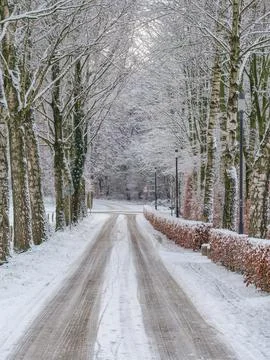Winter time at raesfeld castle Foto stock