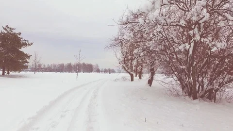 Winter time scene Video stock 101111405
