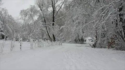 Winter time - snow falls on a cold winter day Stock Footage 162778244