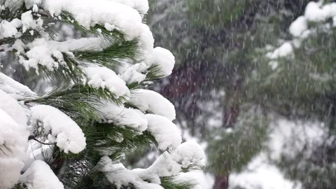 Winter time, snowing scene. Stock Footage 72408648
