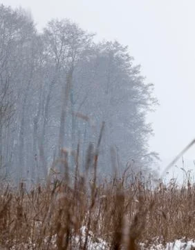 Winter time of the year 스톡 사진