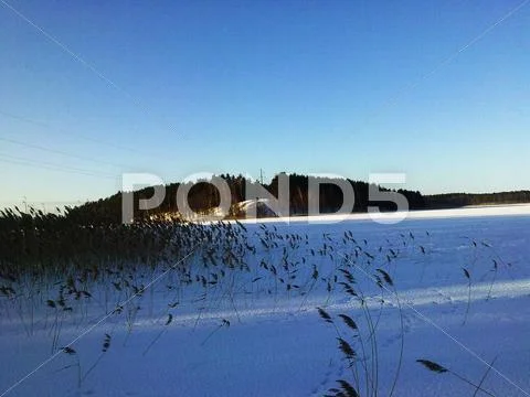 Winter Time.jpg Stock Photos