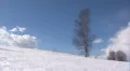 Winter timelapse HD Footage