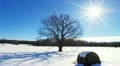Winter timelapse HD Footage