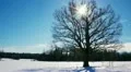 Winter timelapse HD Footage