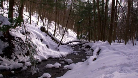 Winter at Tinker Falls in Upstate New York Stock Footage 86822976