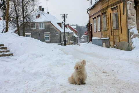 Winter in town Stock Photos