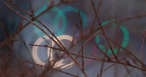 Winter traffic with donut bokeh Stock-Footage 325204487