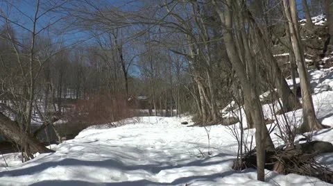 Winter Trail Stock Footage 21442303