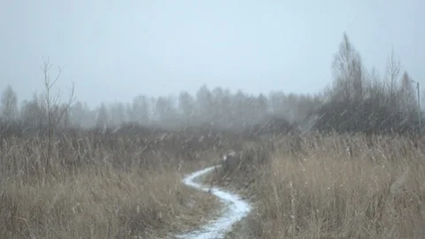 Winter trail, grass and snowfall Stock Footage 123362772