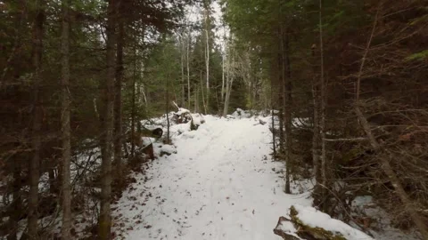 Winter trail hike Stock Footage 275293474