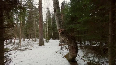 Winter trail hike Stock Footage 275293740