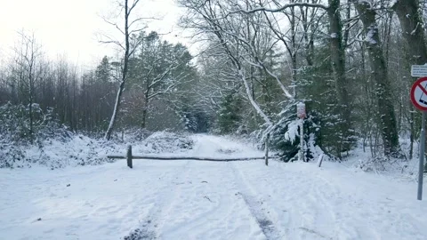 Winter Trail Inaccessible Due To Barriers, Path Through Snowcovered Woods Is Stock Footage 328049104