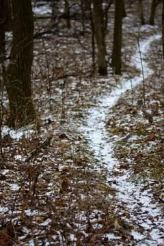Winter Trail Stock-Fotos