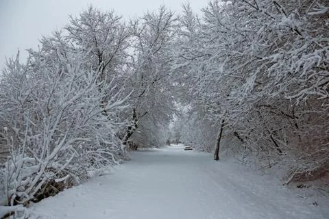 Winter Trail Stock Photos