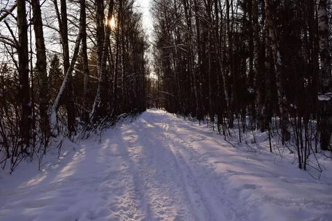 Winter Trail Stock Photos