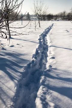 Winter trail in snow Stock Photos