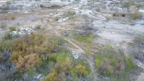 Winter Trails Stock Footage 81184617