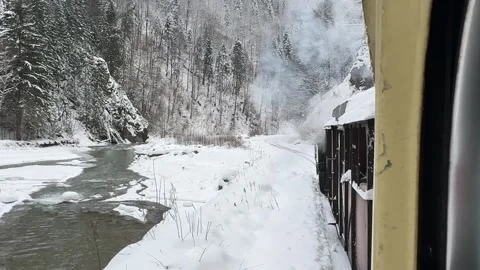 Winter Train Journey Along Snowy River Through Forest Stock Footage 341764306