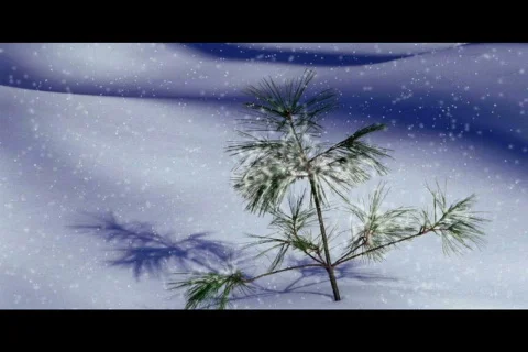 Winter tree and snow scene Stock Footage 562558