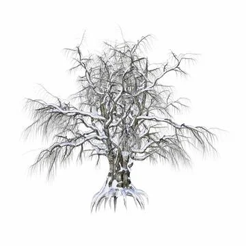 Winter tree covered with snow - 3D render Stock Illustration