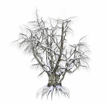 Winter tree covered with snow - 3D render Illustrazione stock