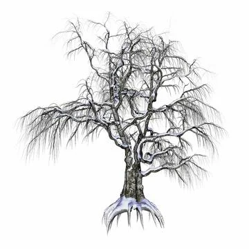 Winter tree covered with snow - 3D render Stock Illustration