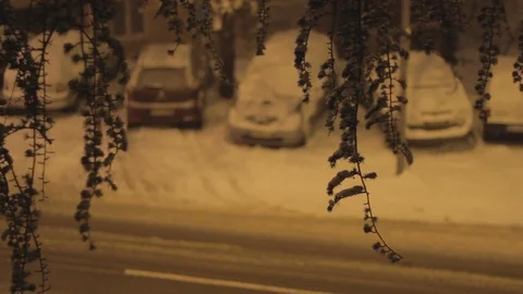 Winter Tree Crown at Night Stock Footage 101001419