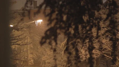 Winter Tree Crown at Night Stock Footage 101003443