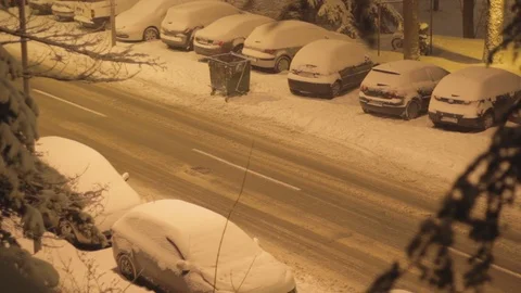 Winter Tree Crown at Night Vídeo Stock 101004045