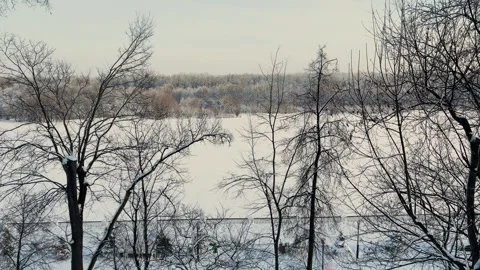 Winter tree crowns and branches covered with snow, beautiful winter view Stock Footage 329250028