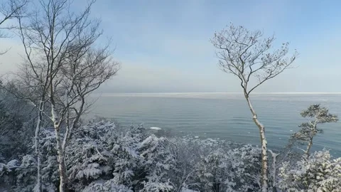 Winter Tree Fly Through Lake Michigan State Drone Aerial View Stock Footage 150314694