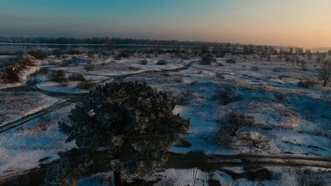 Winter tree Stock Footage 106324274
