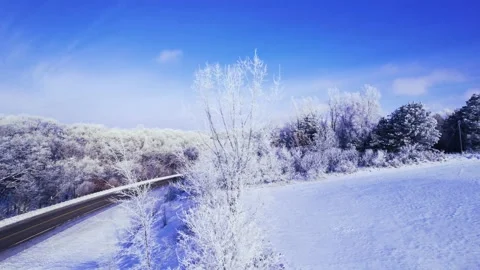 Winter Tree Video stock 230112611
