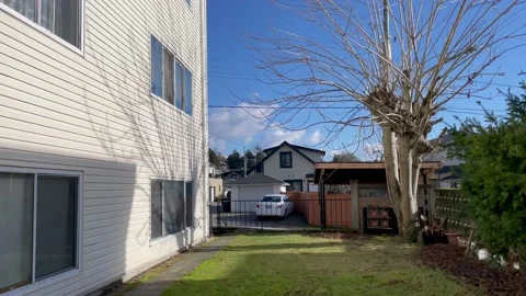 Winter tree Video stock 231585016