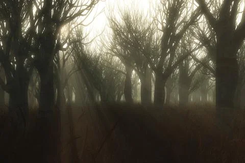 Winter tree forest in mist with sun rays. Stock Illustration